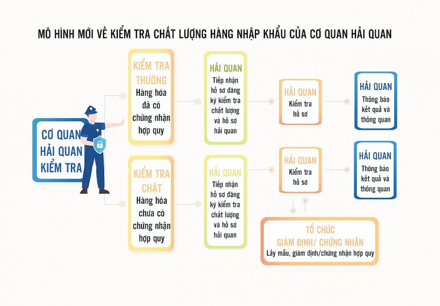 Củng cố, chuẩn hóa nguồn lực kiểm định hải quan Củng cố, chuẩn hóa nguồn lực kiểm định hải quan