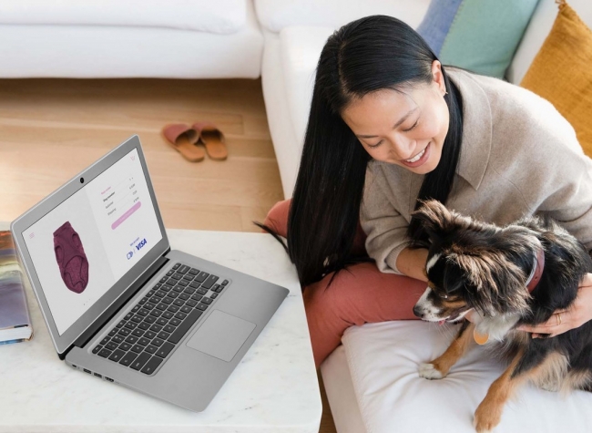 visa huong den nen kinh te ky thuat so toan dien