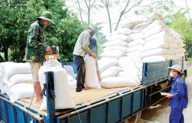 Các cục dự trữ phía Bắc chủ động ứng phó với mưa bão