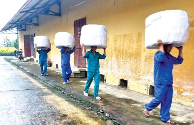 Ngành Dự trữ Nhà nước:  Triển khai nhanh các biện pháp ứng phó với bão Noru