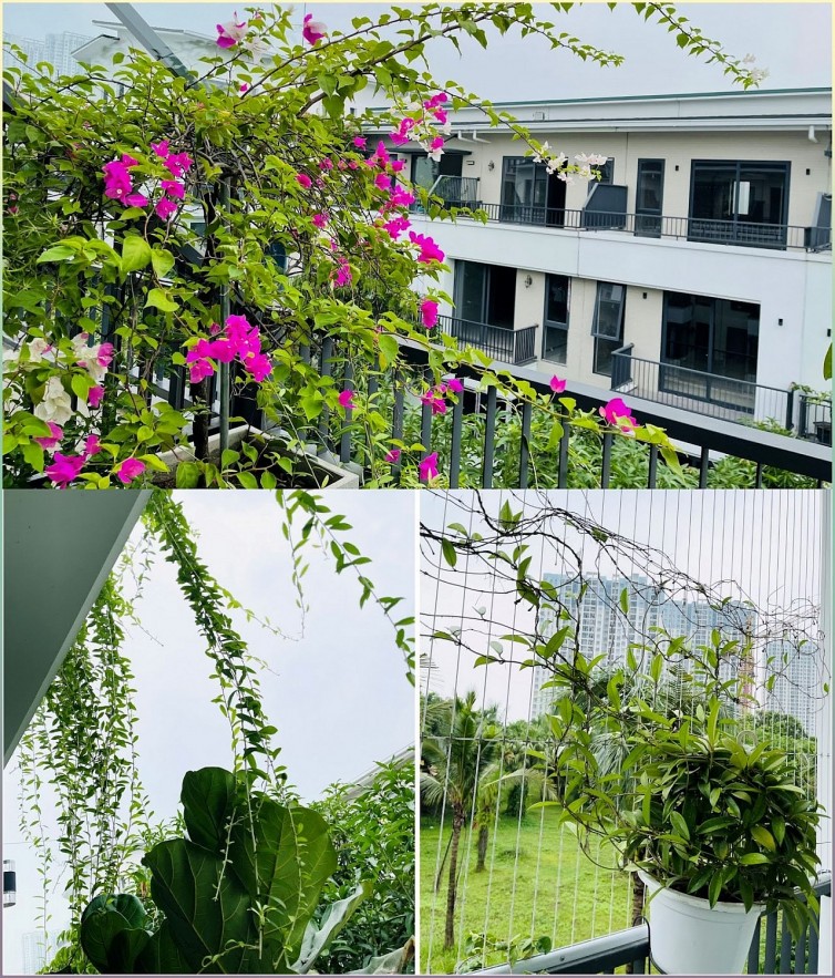 Giám đốc 8x dũng cảm chuyển nhà, chuyển trường để đồng hành cùng con giai đoạn khó khăn nhất: Chỉ sau 6 tháng đã nhận thay đổi ngoài mong đợi Quyết định đúng đắn khi thay đổi môi trường sống của một giám đốc 8X