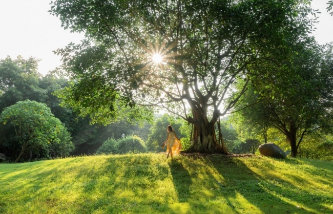 bi mat cua nhung nguoi duoc thien nhien chua lanh