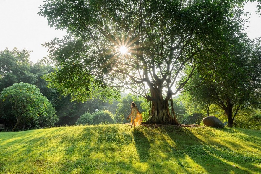 Bí mật của những người được thiên nhiên “chữa lành” Bí mật của những người được thiên nhiên “chữa lành”