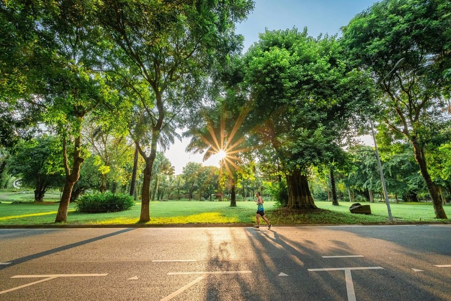 Bí mật của những người được thiên nhiên “chữa lành” Bí mật của những người được thiên nhiên “chữa lành”