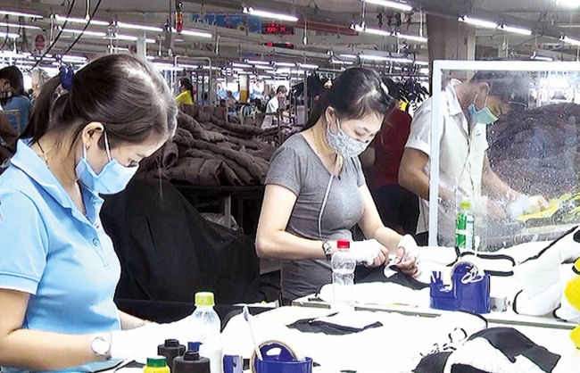 Thị trường lao động đang phục hồi bền vững