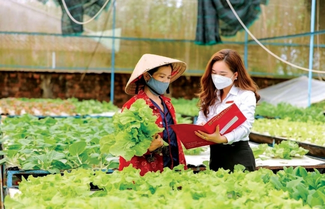 agribank khang dinh vai tro ngan hang chu luc trong xay dung nong thon moi