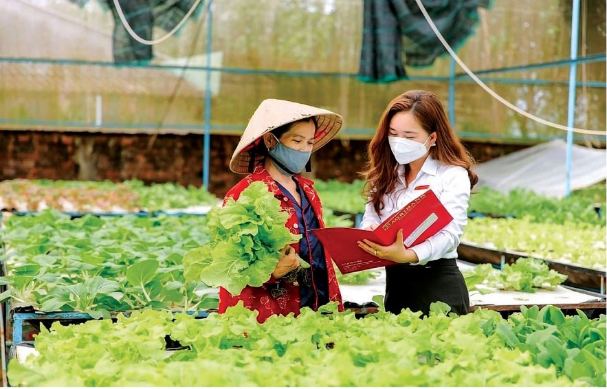 Agribank đồng hành cùng nông dân phát triển kinh tế. Ảnh: Diệu Linh Agribank đồng hành cùng nông dân phát triển kinh tế. Ảnh: Diệu Linh