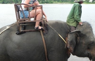 Đăk Lăk: Chi 55 tỷ đồng chấm dứt du lịch cưỡi voi