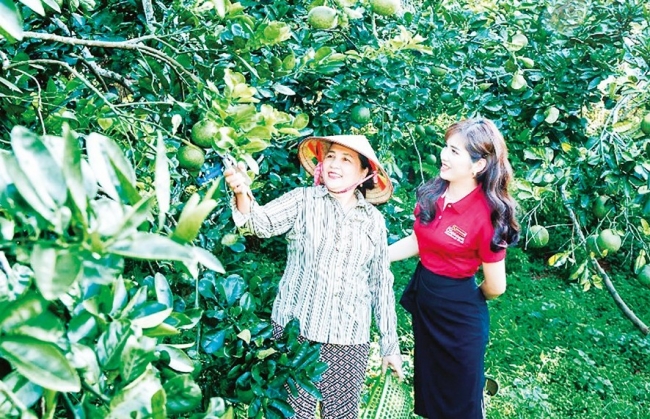 Agribank: Triển khai hiệu quả chính sách tín dụng về nông nghiệp