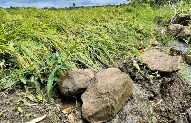 Đắk Lắk: Thu hồi và chuyển đổi mục đích sử dụng đất hàng ngàn ha để thực hiện dự án trong năm 2023