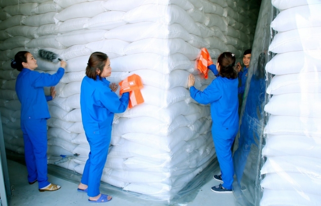 Cục Dự trữ Nhà nước khu vực Nghệ Tĩnh: Thi đua xây dựng vùng kho an toàn, xanh, sạch, đẹp