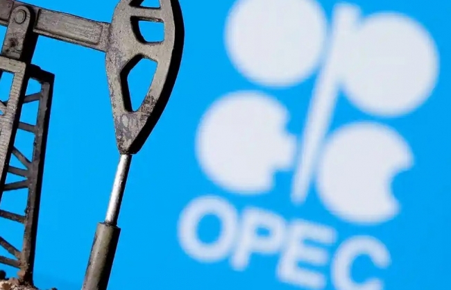 gia dau vi sao tang va co y nghia the nao voi lai suat lam phat