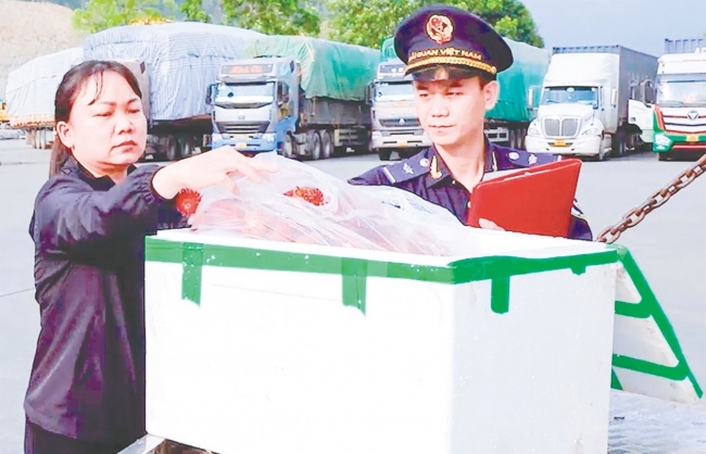 Thông quan thuận lợi, xuất nhập khẩu qua biên giới phía Bắc tăng mạnh