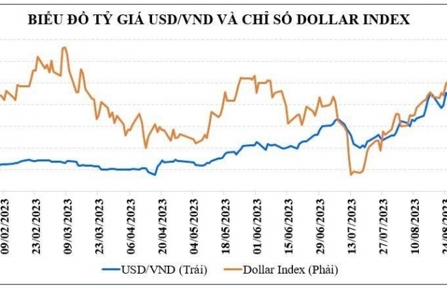 Tỷ giá VND/USD không còn là rủi ro lớn với thị trường chứng khoán