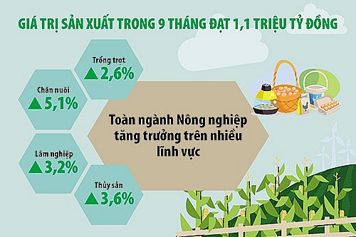 Ngành Nông nghiệp tự tin "cán đích" xuất khẩu đạt 54 tỷ USD