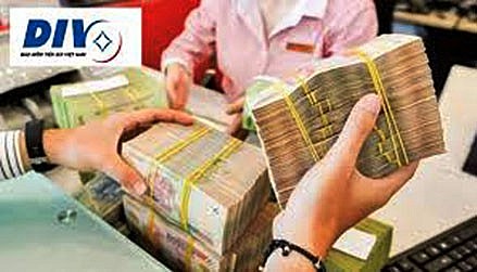 Bảo hiểm tiền gửi hỗ trợ tổ chức tài chính vi mô và người nghèo