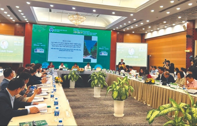 Nhiều tiềm năng, dư địa để phát triển kinh tế hợp tác xã xanh, bền vững