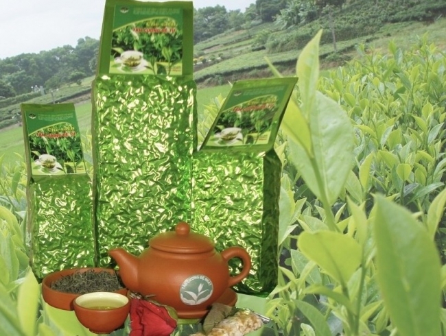 Tăng cường bảo vệ sở hữu trí tuệ sản phẩm chè Thái Nguyên