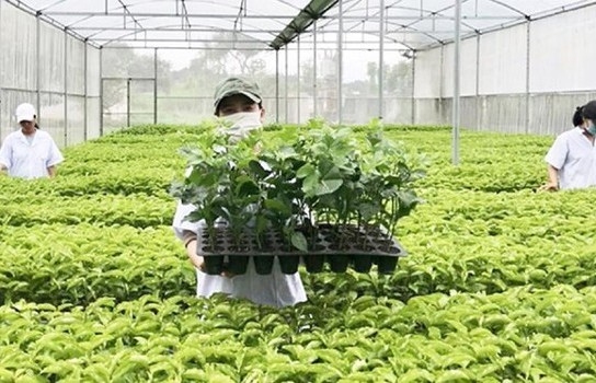 Đơn giản hóa thủ tục hành chính, tăng cường bảo vệ quyền sở hữu công nghiệp