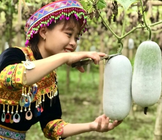 Bắc Kạn: Phổ cập kiến thức sở hữu trí tuệ cho người dân, doanh nghiệp, hợp tác xã