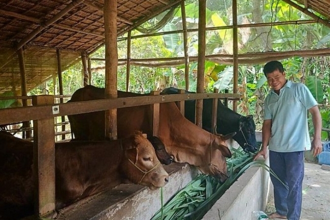 Trà Vinh: Niềm vui thay đổi diện mạo mới nơi phum sóc