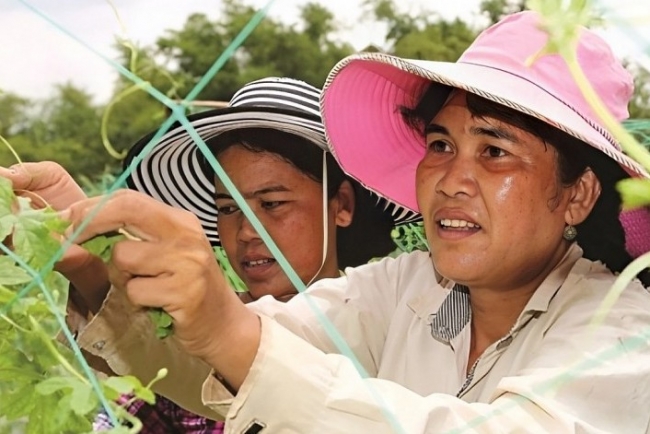 Trà Vinh: Tăng cường triển khai mục tiêu giảm nghèo bền vững năm 2024