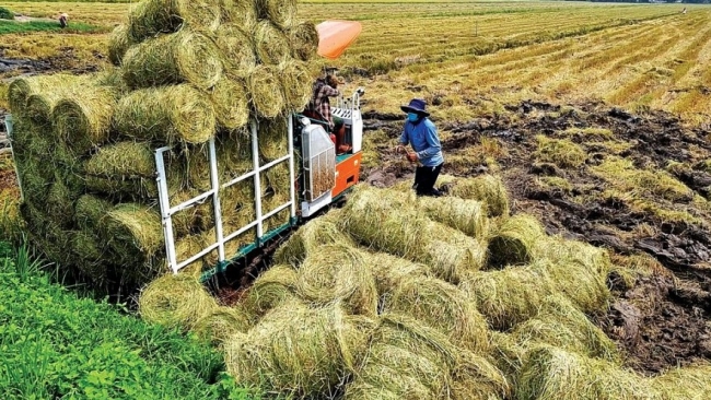 Kinh tế tuần hoàn - "chìa khóa" cho tăng trưởng bền vững