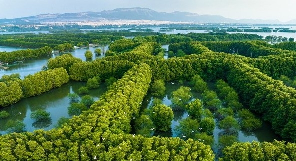 Nhiều bộ, ngành, địa phương tích cực hưởng ứng Ngày Đất ngập nước Thế giới năm 2024