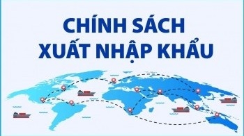 Chính sách thuế hàng hóa nhập khẩu sau đó tái xuất