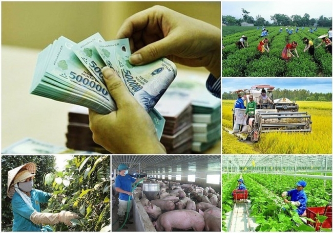 Giải ngân vốn sự nghiệp ngân sách trung ương thực hiện Chương trình mục tiêu quốc gia mới đạt 15,9%