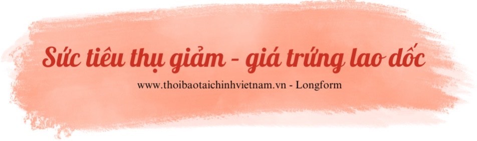 Lối đi nào cho ngành trứng gia cầm trong xu thế mới
