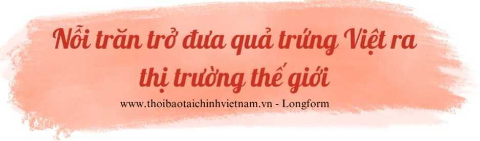 Lối đi nào cho ngành trứng gia cầm trong xu thế mới