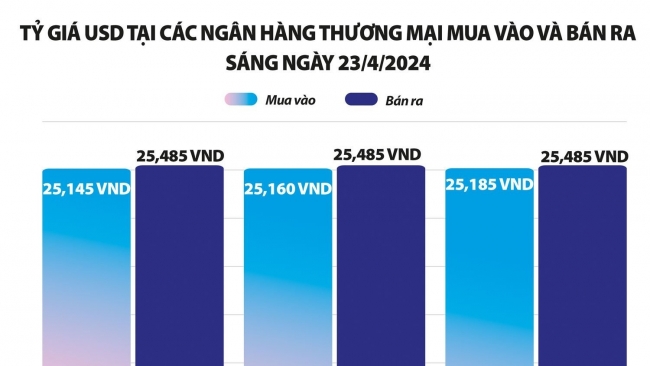 Bán ngoại tệ, giải pháp “cầm chừng” trước bối cảnh các yếu tố bên ngoài còn phức tạp