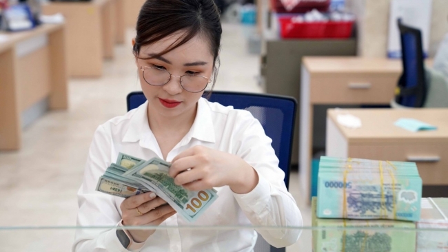 ECB hạ lãi suất và những ảnh hưởng tới thị trường trong nước