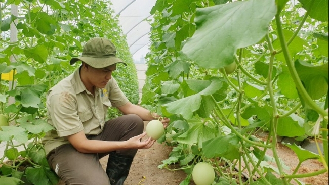 Nhiều dư địa tăng xuất khẩu nông sản vào thị trường EU