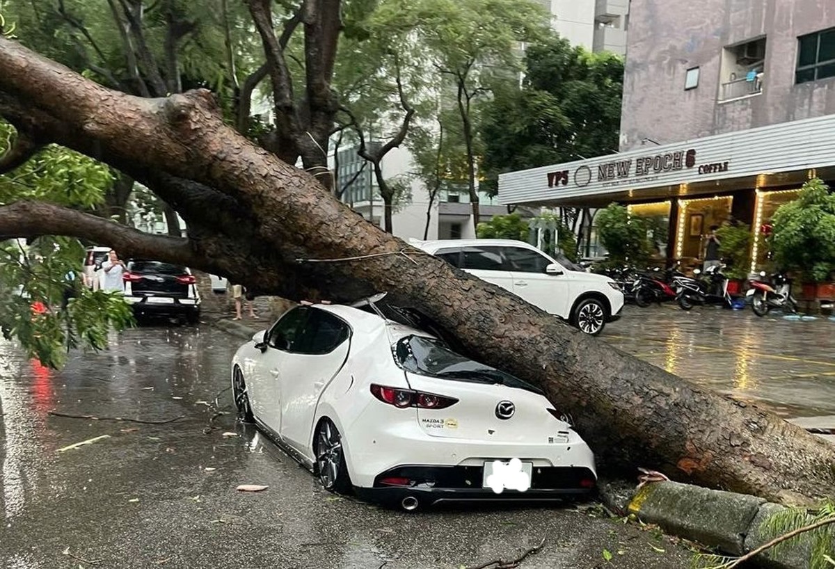 Đề nghị doanh nghiệp bảo hiểm chủ động, thực hiện ngay tạm ứng, bồi thường thiệt hại do Bão số 3 - Yagi Đề nghị doanh nghiệp bảo hiểm chủ động, thực hiện ngay tạm ứng, bồi thường thiệt hại do bão Yagi