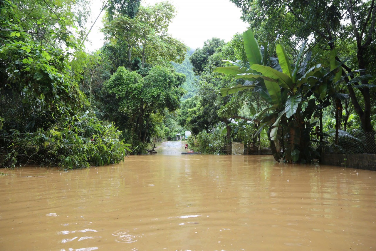 Phó Thủ tướng Hồ Đức Phớc kiểm tra, chỉ đạo khắc phục hậu quả mưa lũ tại Bắc Kạn Phó Thủ tướng Hồ Đức Phớc kiểm tra, chỉ đạo khắc phục hậu quả mưa lũ tại Bắc Kạn
