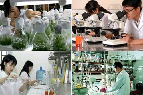 Cơ quan chủ quản quy định mức chi đối với đơn vị trực thuộc trong các nhiệm vụ khoa học