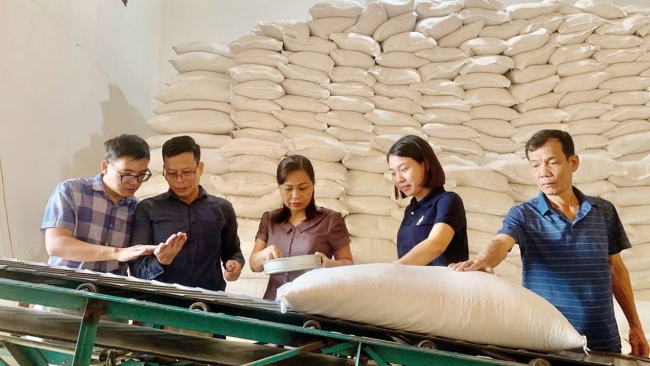 Ngành Dự trữ chủ động, sẵn sàng xuất cấp gạo hỗ trợ học sinh