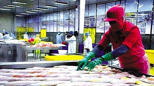 Xuất khẩu hàng hóa với nhiều điểm sáng trong bức tranh kinh tế