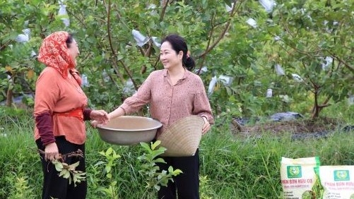 giac mo bac ty bi kich khi lang len pho