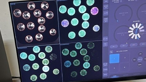 Bắt giữ 700 viên kim cương vận chuyển trái phép qua cửa khẩu quốc tế Tân Sơn Nhất