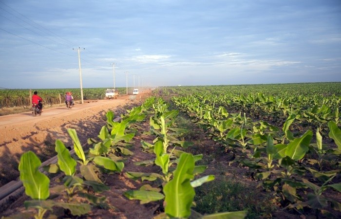 Nguyên nhân do đâu khiến HNG báo lỗ sau thuế hơn 180 tỷ đồng?