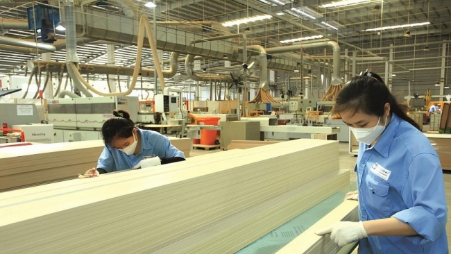 Thị trường xuất khẩu khởi sắc, Gỗ An Cường báo lãi 9 tháng 330 tỷ đồng