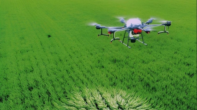 Cần Thơ: Chuyển đổi tư duy sản xuất nông nghiệp sang kinh tế gắn với xanh bền vững