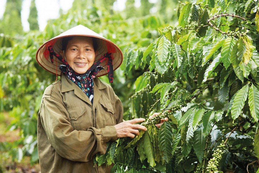 Nestlé Việt Nam: Tiên phong phát triển bền vững, đồng hành kiến tạo tương lai xanh