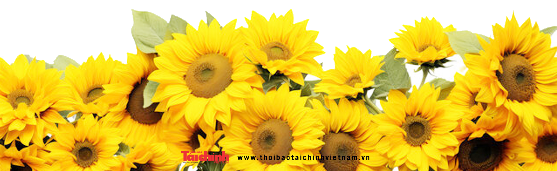 Rạng rỡ bình minh tân kỷ nguyên