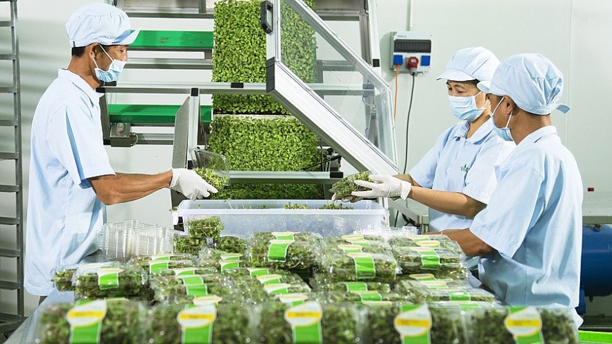 Thống đốc Ngân hàng Nhà nước đề cập các lĩnh vực ưu tiên vốn tín dụng, tạo đà tăng GDP trên 8% Thống đốc Ngân hàng Nhà nước đề cập các lĩnh vực ưu tiên vốn tín dụng, tạo đà tăng GDP trên 8%