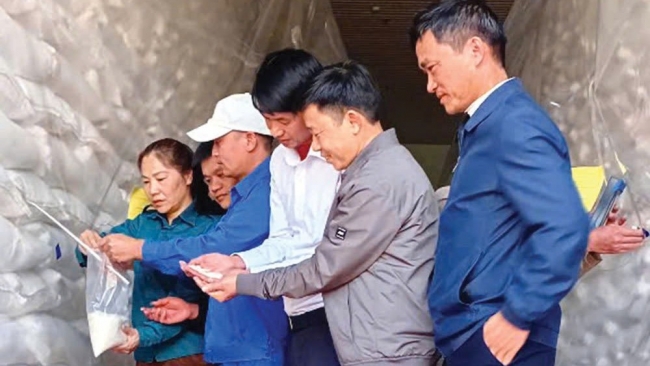 Chi cục Dự trữ Nhà nước khu vực V: Điểm sáng xây dựng vùng kho “an toàn - xanh - sạch - đẹp”