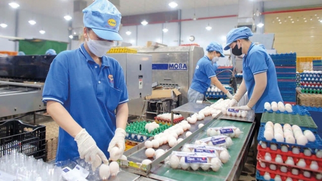 Cải thiện môi trường kinh doanh, thúc đẩy kinh tế tư nhân phát triển